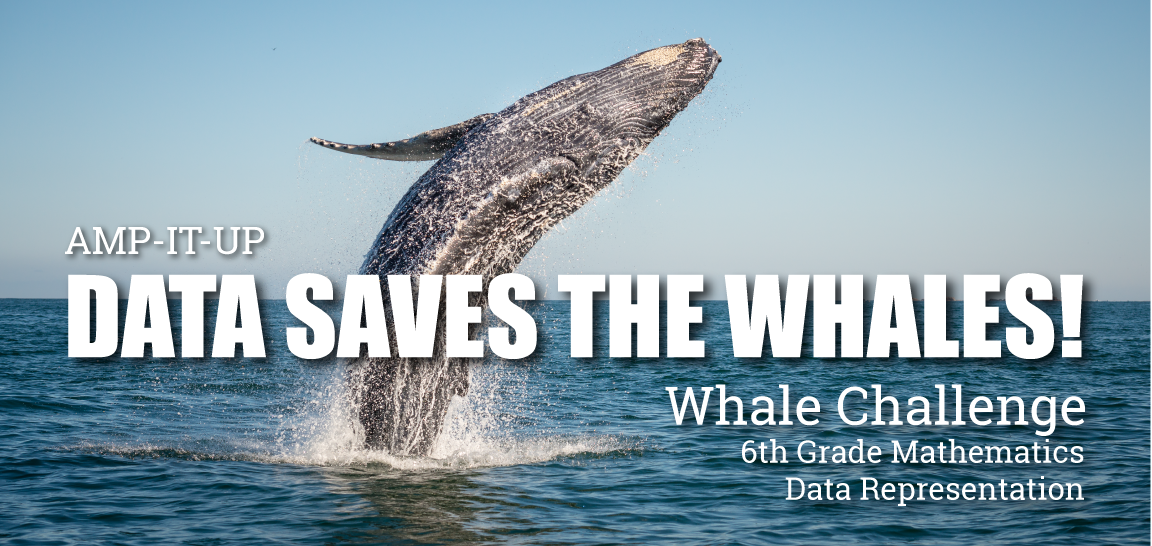 Data saved the Whales - Whale jumping out of the water